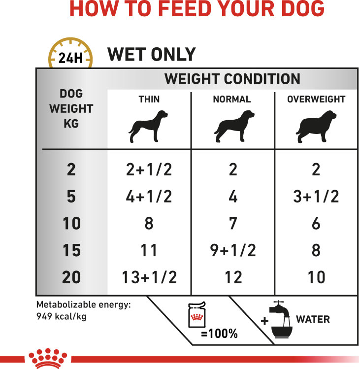 Feeding Guide