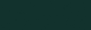 Baseline Evergreen 8×24 Field Tile Glossy