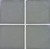 Elevations Platinum Matte 1-1/4×5 Mini Extrados Decorative Tile
