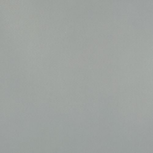 Plain pale gray wall occupying the frame, evenly lit and subtly textured with a small white speck near the top; minimal context, soft diffuse lighting, no visible furniture or windows.