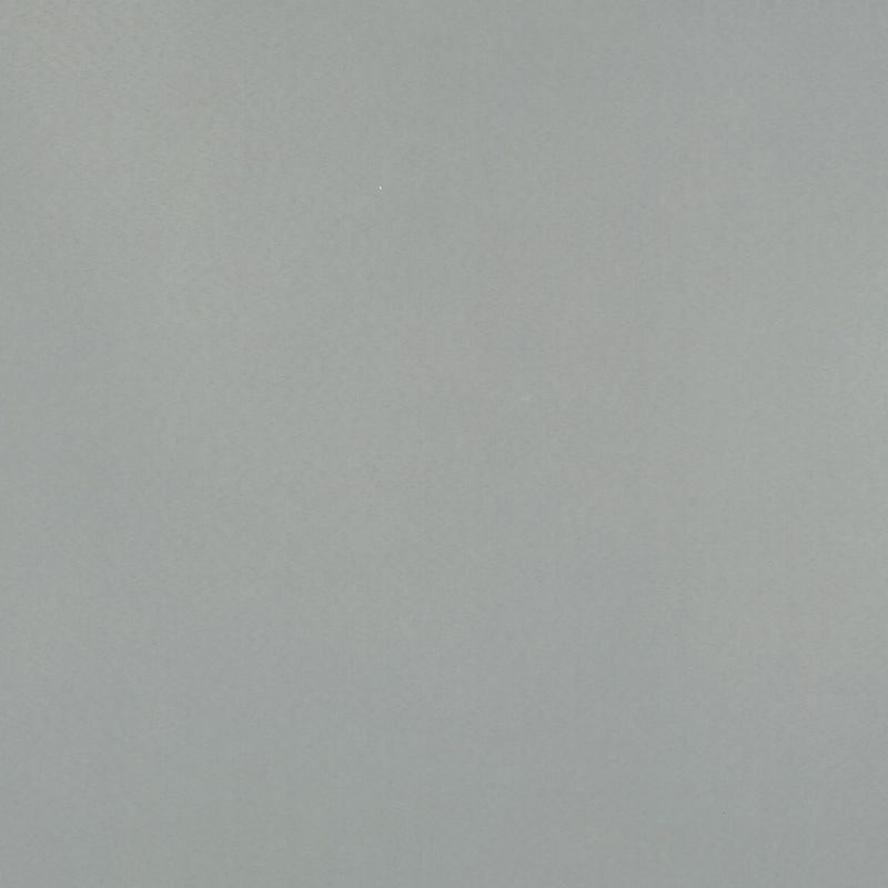 Plain pale gray wall occupying the frame, evenly lit and subtly textured with a small white speck near the top; minimal context, soft diffuse lighting, no visible furniture or windows.