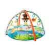 Monkey Business Musical Activity Gym™