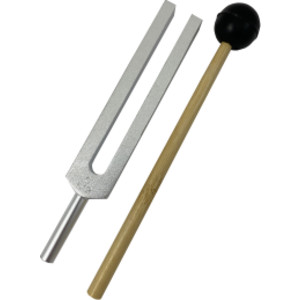 Tuning Fork and Striker