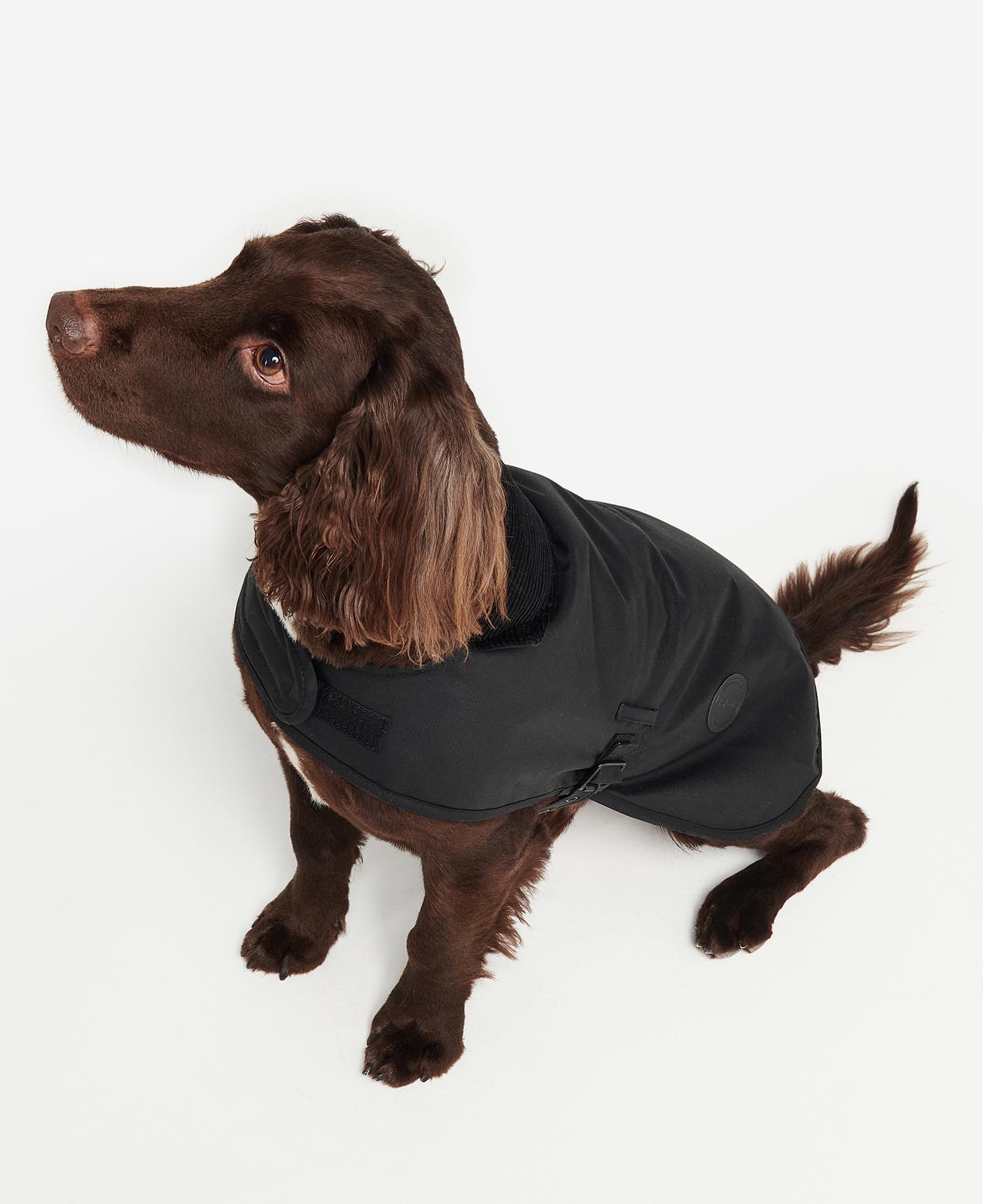 Hundemantel Wachs image number 1