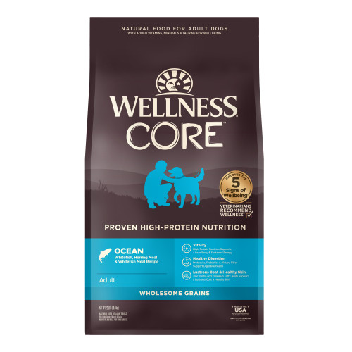 Wellness CORE
