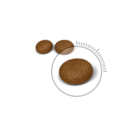Hair & Skin Care kibble