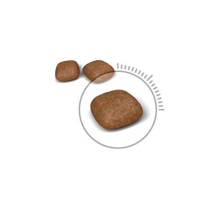 Urinary Care kibble