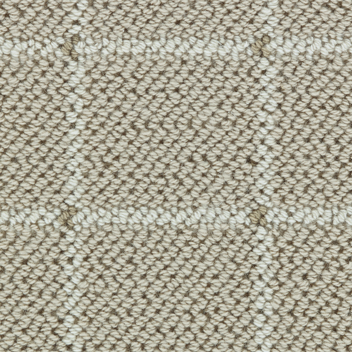 color-rug1