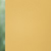 Unico 1013 Roller Blind