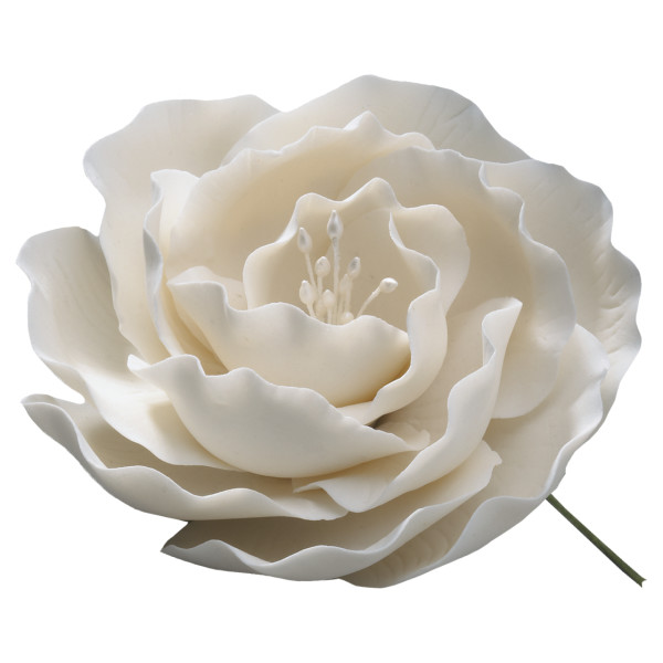 White Briar Rose - Red 3 Free Gum Paste Flowers