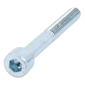 Screw