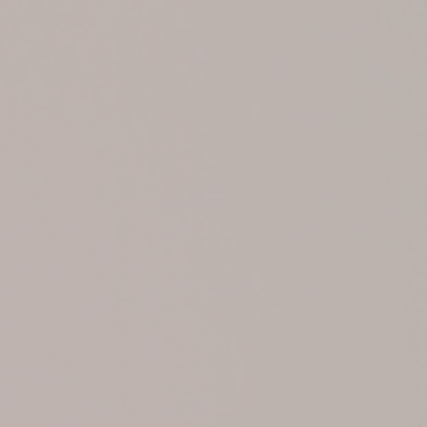 Plain pale beige wall fills the frame, uniformly lit and featureless, showing subtle texture under soft diffuse light in a minimal indoor scene.