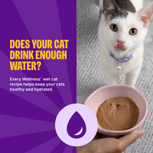 Wellness Appetizing Entrees  Kitten Flaked Tuna & Crab Recipe in Broth marketing callout