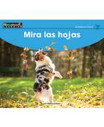 s--lHJtzIOq--/esd9927ynunogqjr3izi.jpg