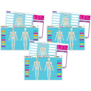 3-Pack Human Skeleton Learning Mat