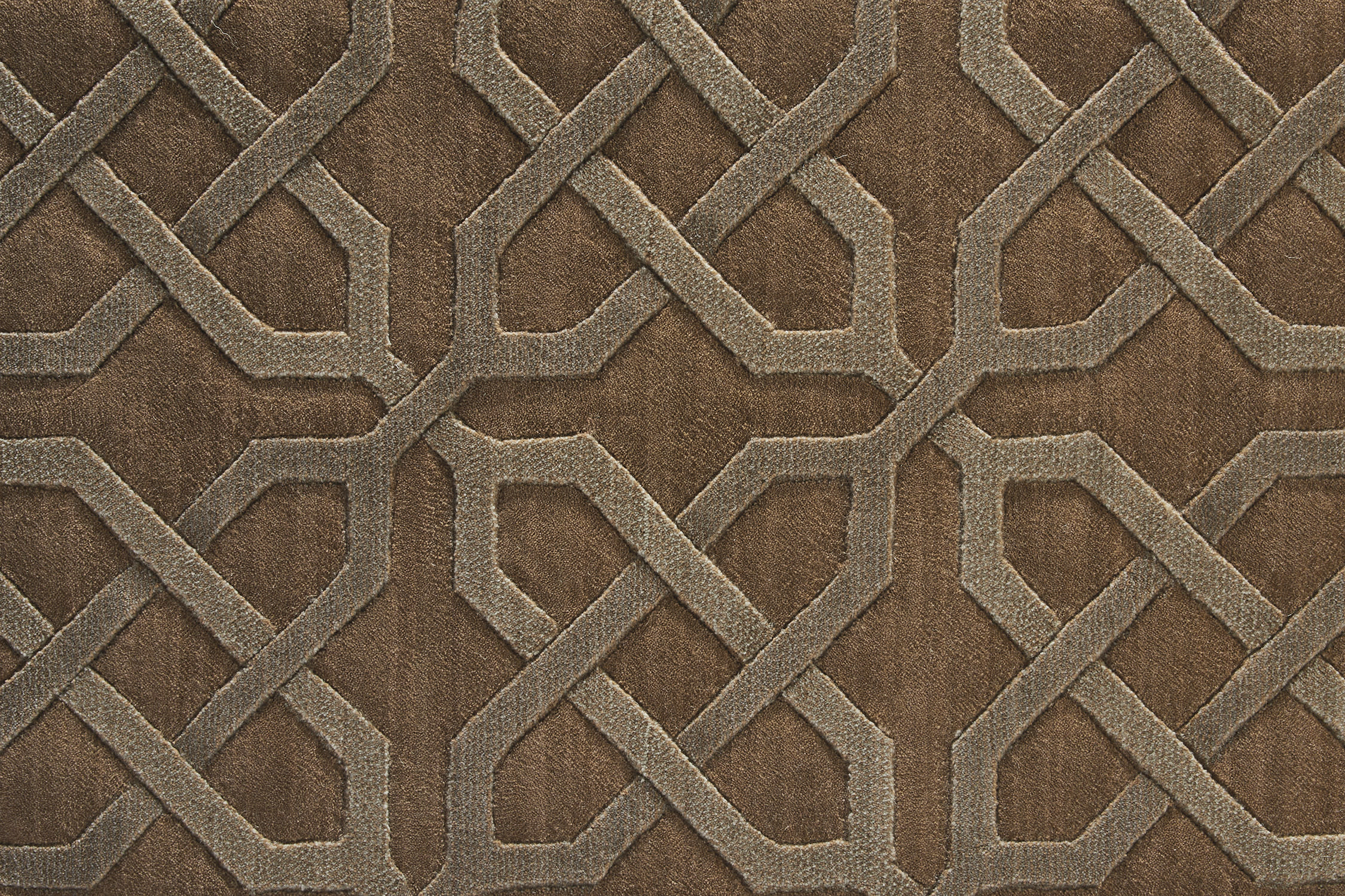 color-rug1