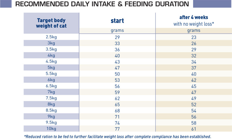 Obesity Management Dry - Cat Food - ROYAL CANIN®