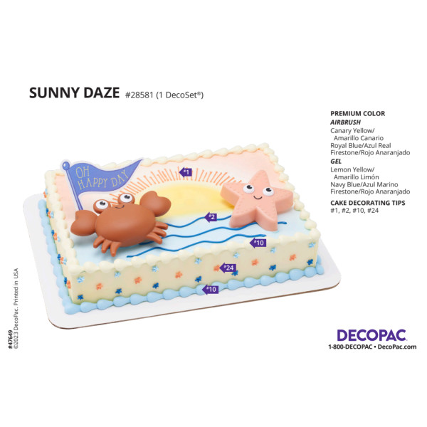 Sunny Daze Cake Decorating Instruction Card