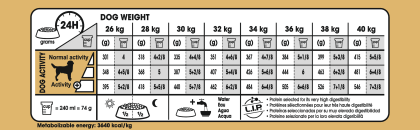 Labrador Retriever Adult feeding guide