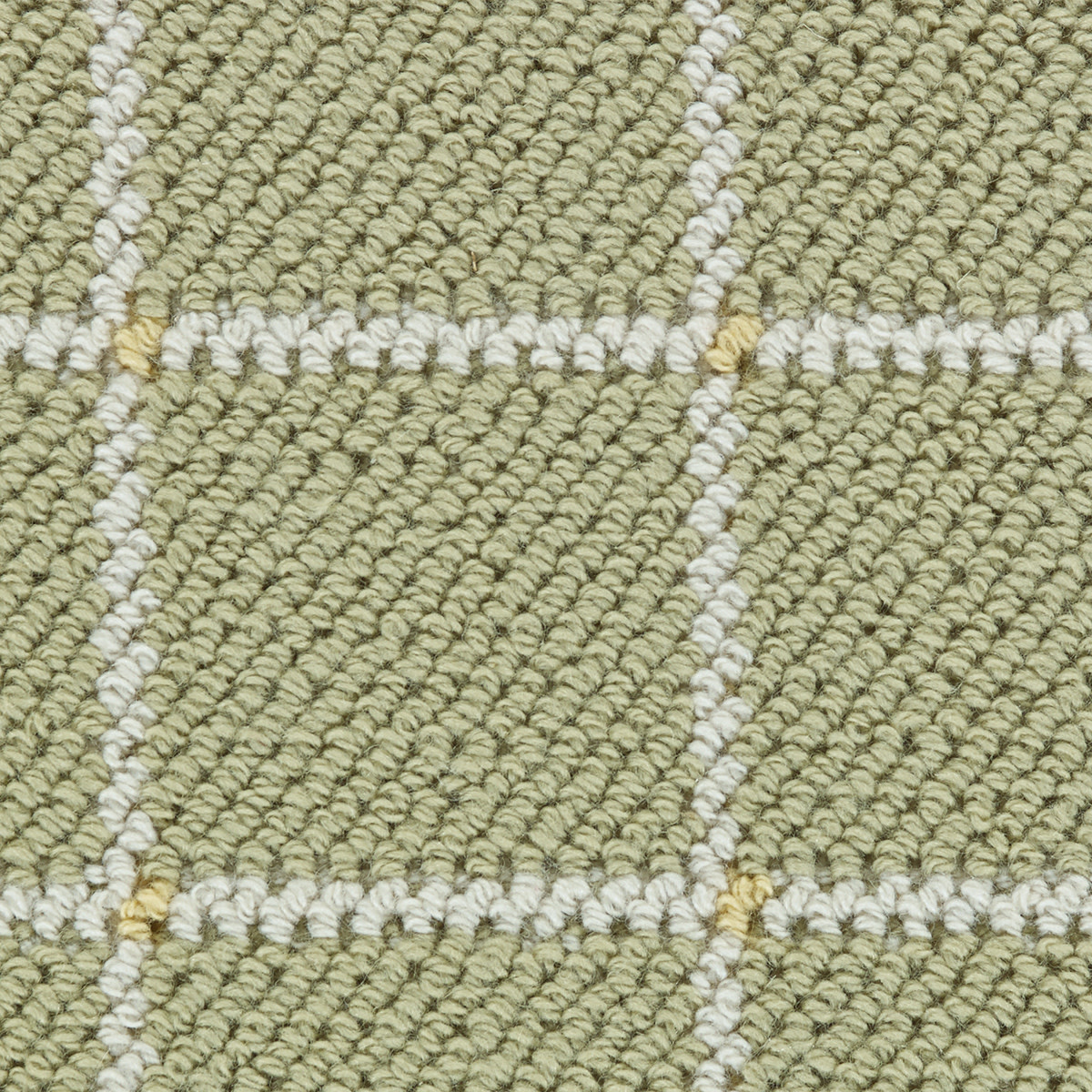 color-rug1