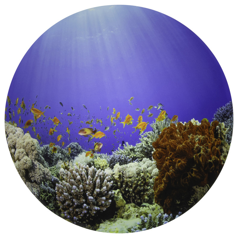 Under the Sea Discovery Play Mat
