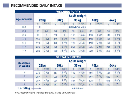 Pediatric starter large dog feeding guide