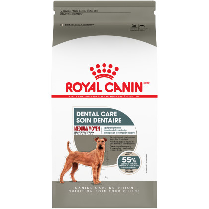 Royal Canin Canine Care Nutrition Medium Dental Care Dry Dog Food