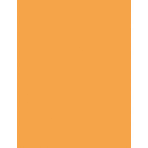 Multi-Purpose Paper, Hyper Orange, 8-1/2" x 11", 500 Sheets