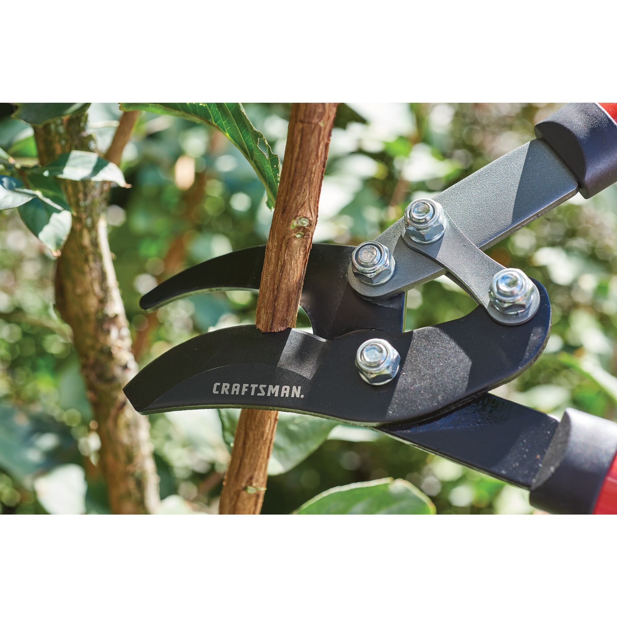 Close up of compound bypass lopper being used by a person to cut a branch outdoors.