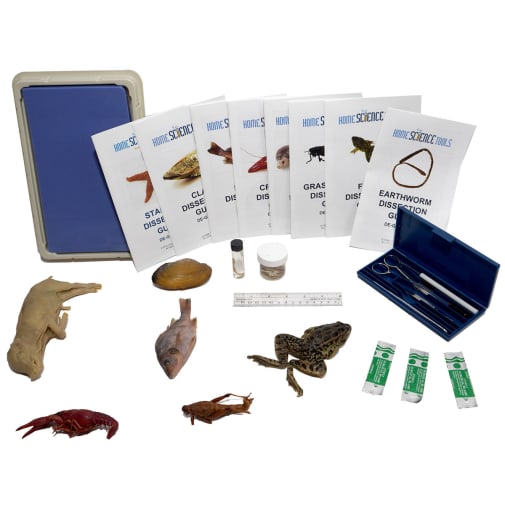 Intermediate Dissection Kit