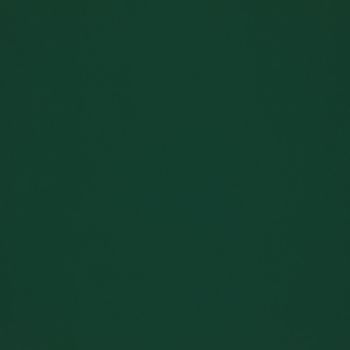 Solid dark green surface filling the frame, uniformly colored and featureless, acting as a flat background under even, low lighting with no visible objects, edges, or texture.