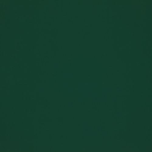 Solid dark green surface filling the frame, uniformly colored and featureless, acting as a flat background under even, low lighting with no visible objects, edges, or texture.