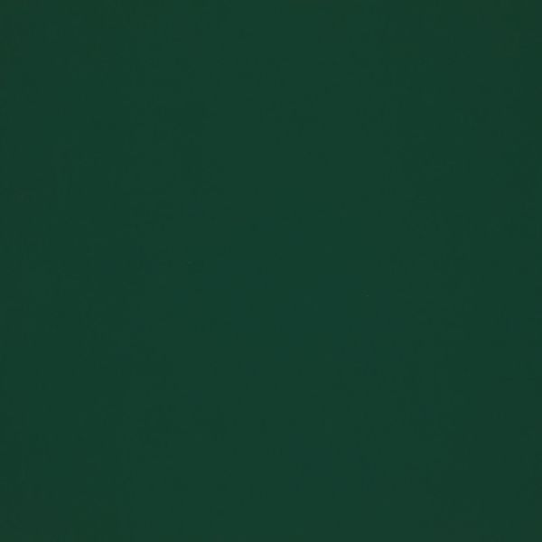 Solid dark green surface filling the frame, uniformly colored and featureless, acting as a flat background under even, low lighting with no visible objects, edges, or texture.