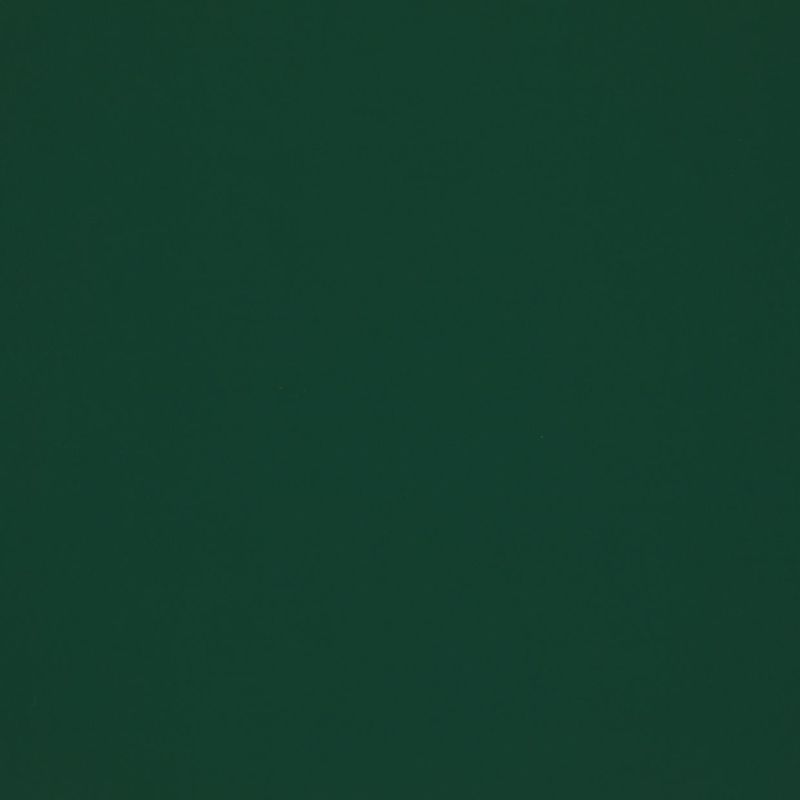 Solid dark green surface filling the frame, uniformly colored and featureless, acting as a flat background under even, low lighting with no visible objects, edges, or texture.