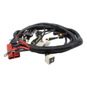 Main Electrical Harness