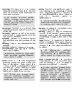 s--lv83ADl5--/yyr8qrbcsoj7dphmdzir.jpg