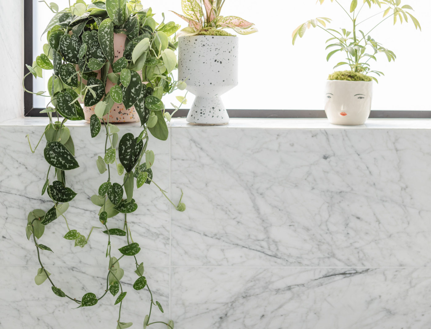 a window sill with several plants and pots on it.