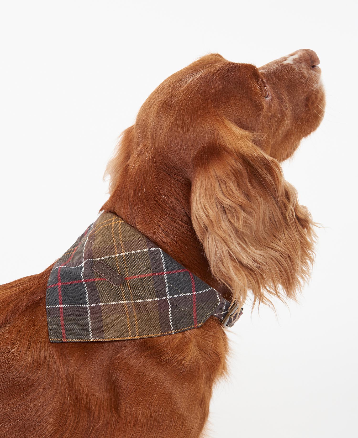 Tartan Bandana image number 2