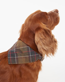 Tartan Bandana 