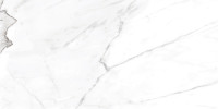 Starling Calacatta 12×24 Field Tile rectified