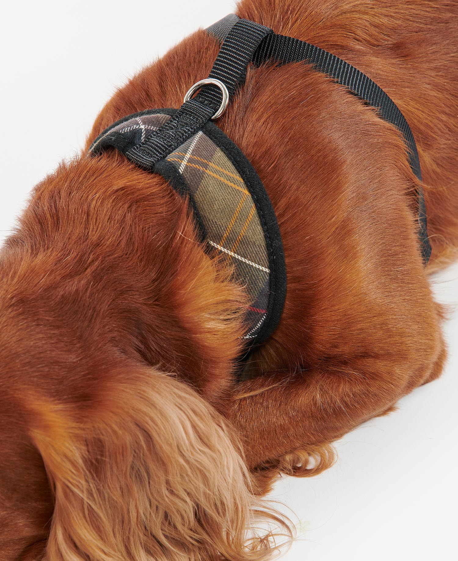 Tartan Dog Harness image number 3