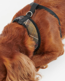 Tartan Dog Harness Classic Tartan