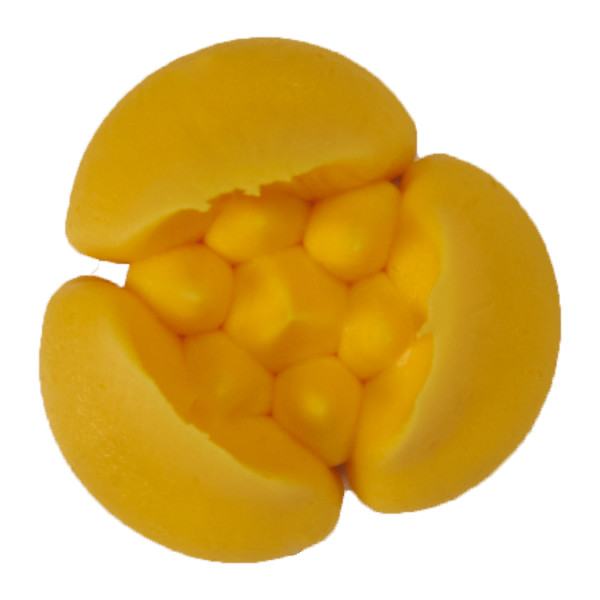 Flower Assortment Russian Decorating Tip