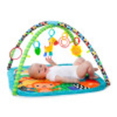 Zippy Zoo&trade; Activity Gym