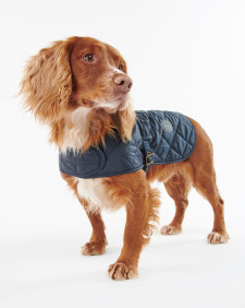 Quilted Dog Coat 