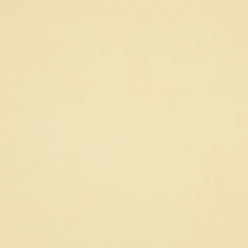 A plain cream-colored wall fills the frame, showing a smooth, slightly textured surface that uniformly reflects soft, diffuse light in a minimally furnished, neutral-lit interior.