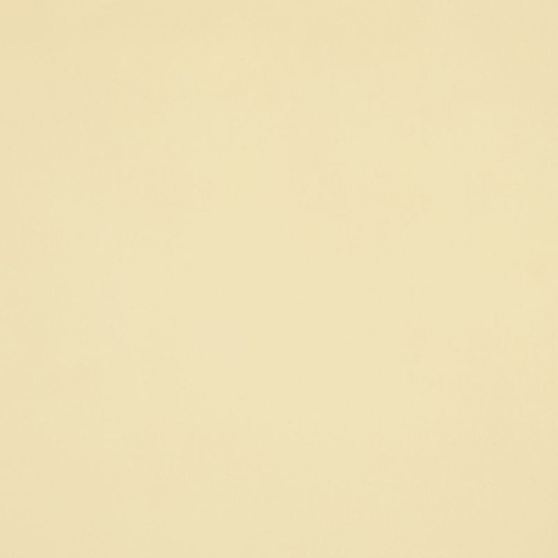 A plain cream-colored wall fills the frame, showing a smooth, slightly textured surface that uniformly reflects soft, diffuse light in a minimally furnished, neutral-lit interior.