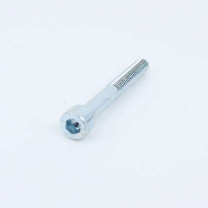 Screw