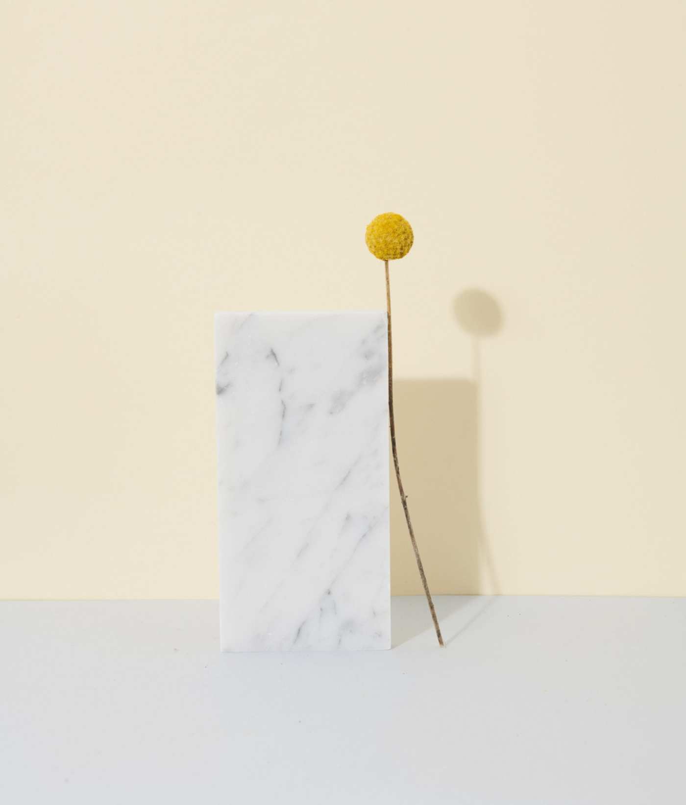 a rectangular marble tile and a yellow flower leaning against a yellow wall.