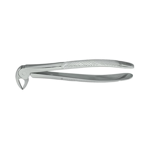 Nordent #33 Lower Root Extraction Forcep, Serrated